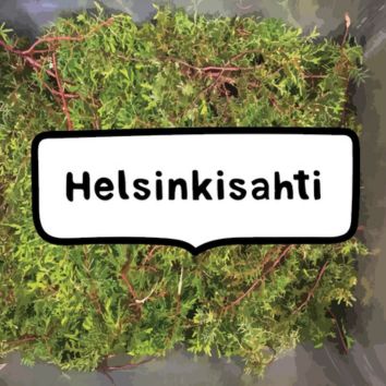 Helsinkisahti Canister 3 L